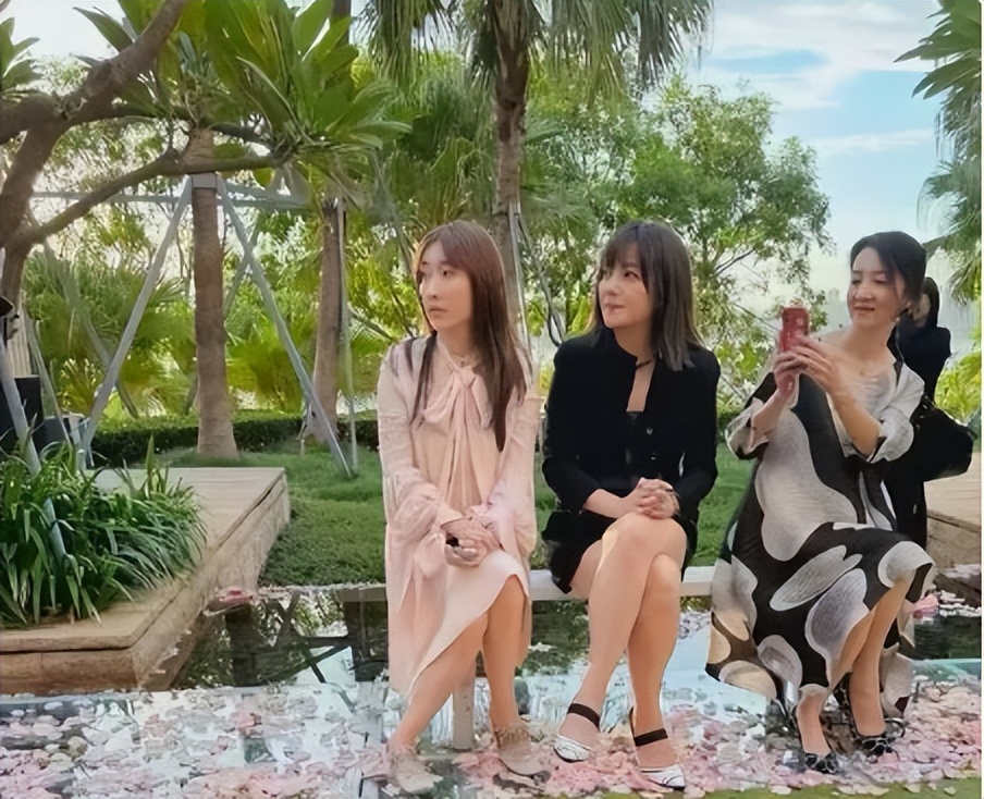 赵薇消失四年原因_赵薇现在还在娱乐圈吗_赵薇近期动态分析